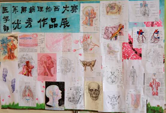 优秀作品展示.jpg